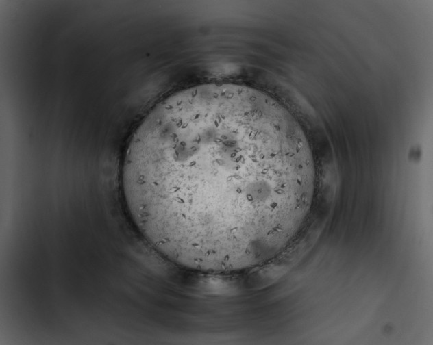 X0000102860565200809021427