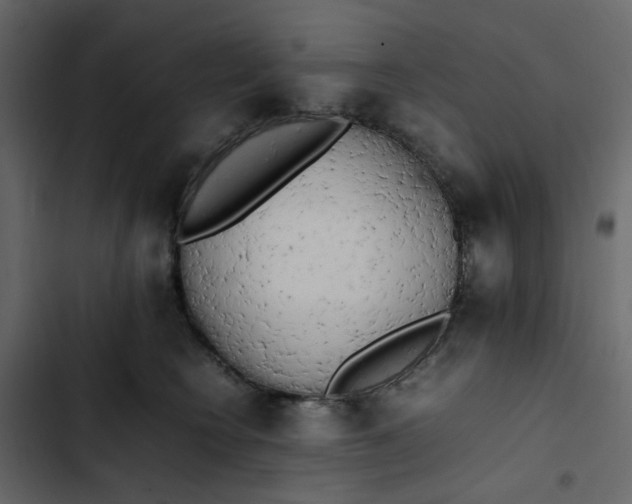 X0000102860566200809021427