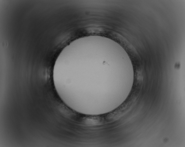 X0000102860567200809021427