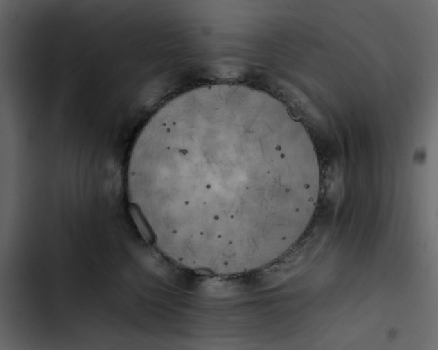 X0000102860568200809021427