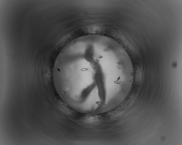 X0000102860569200809021427