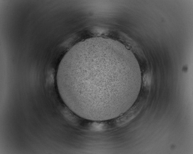 X0000102860570200809021427