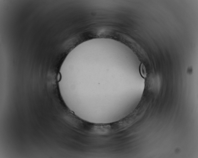 X0000102860571200809021427