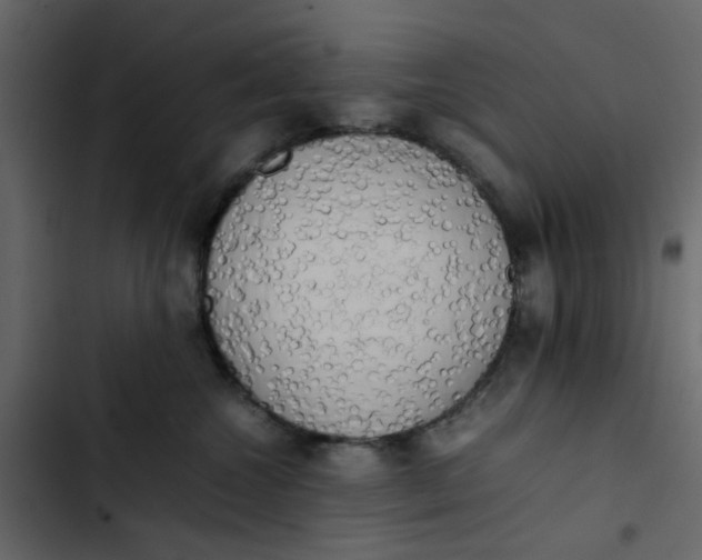 X0000102860572200809021427