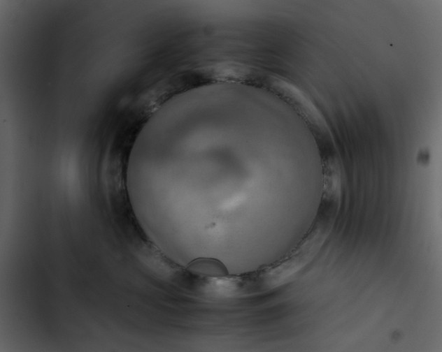 X0000102860573200809021427