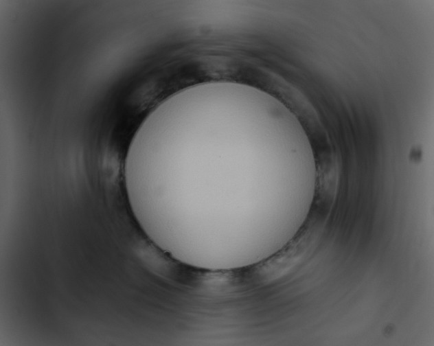 X0000102860574200809021427