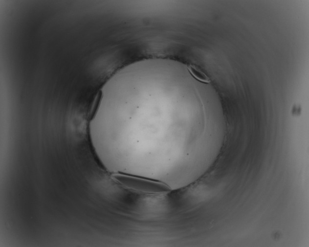 X0000102860576200809021427