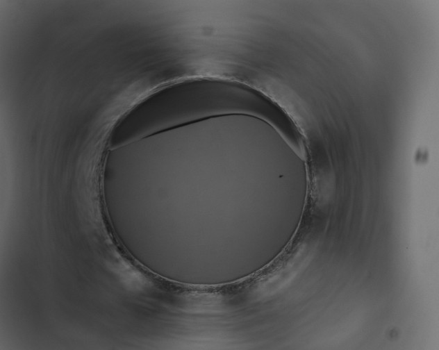 X0000102860577200809021426