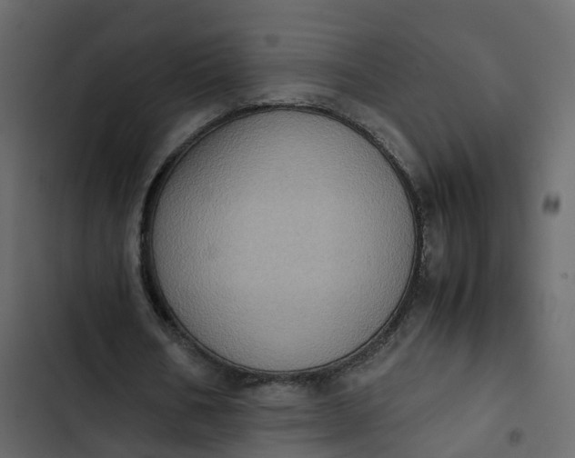 X0000102860578200809021426