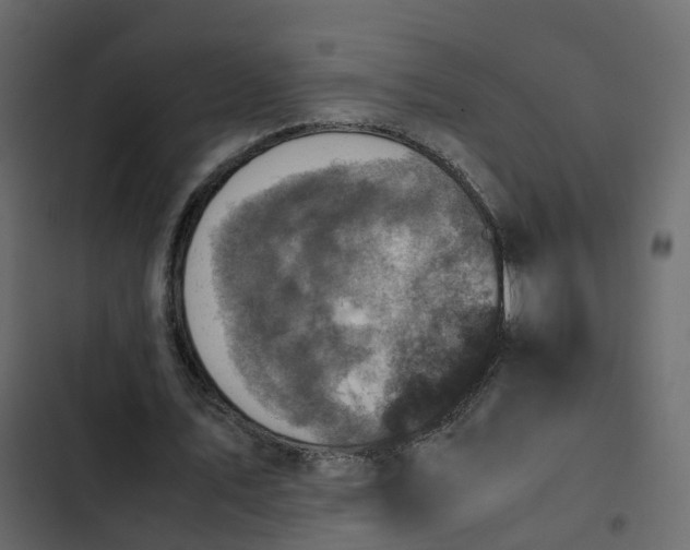 X0000102860579200809021426