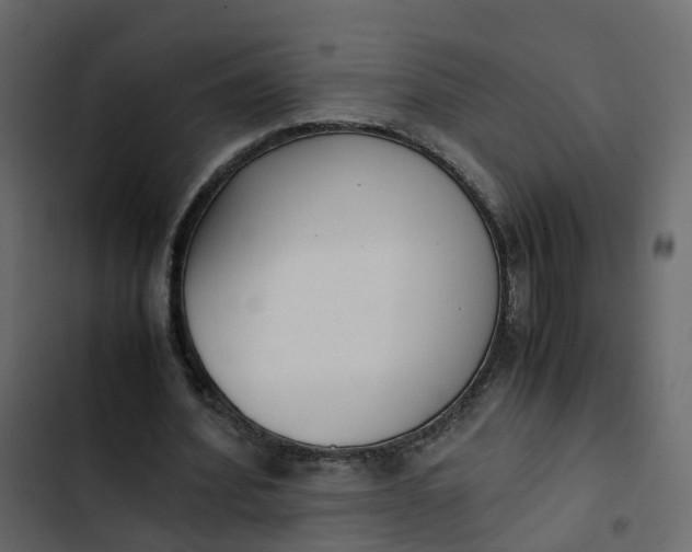 X0000102860580200809021426