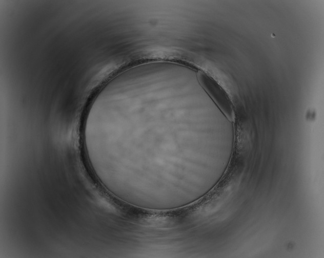 X0000102860581200809021426