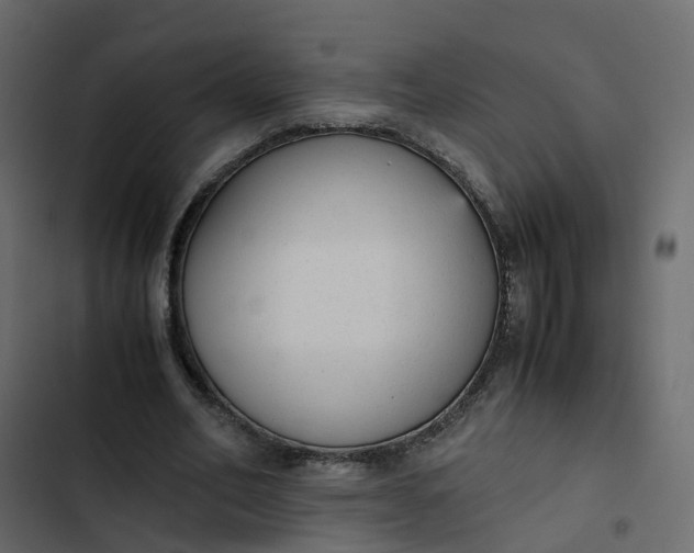 X0000102860582200809021426