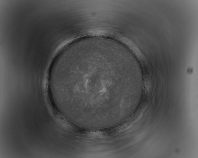 X0000102860583200809021426