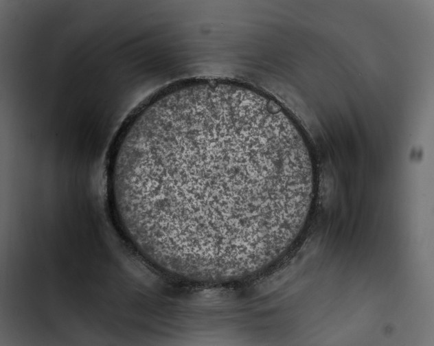 X0000102860584200809021426