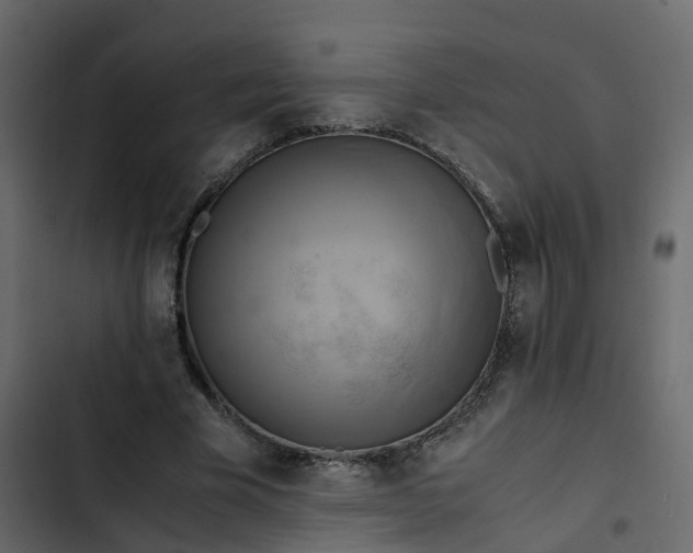 X0000102860585200809021426