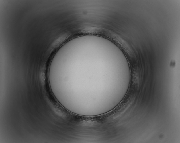 X0000102860586200809021426