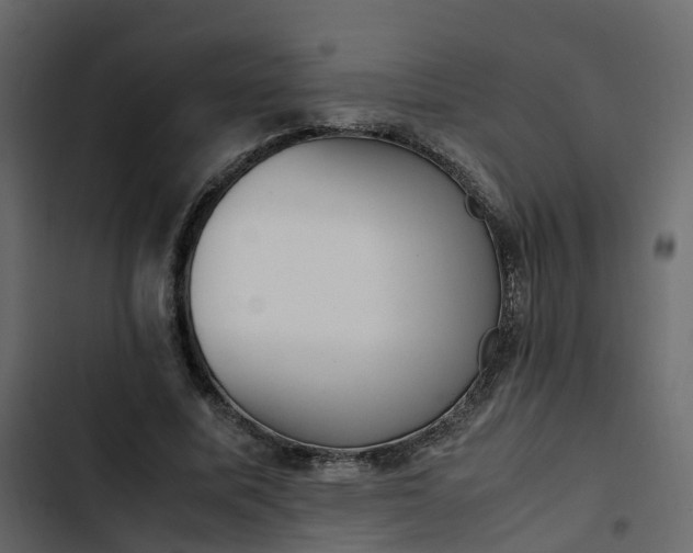 X0000102860587200809021426