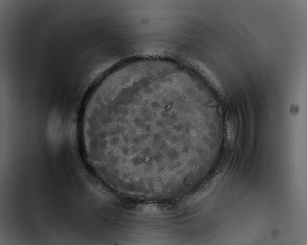 X0000102860588200809021426