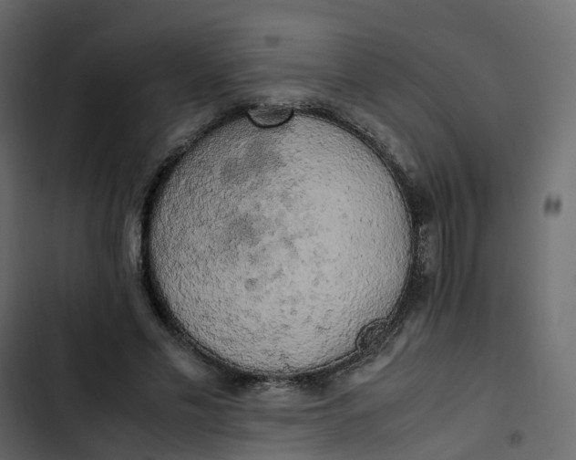 X0000102860589200809021426