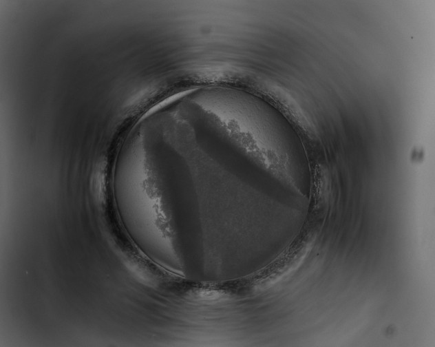 X0000102860590200809021426