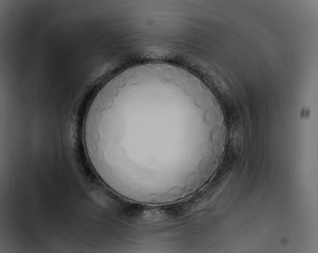 X0000102860591200809021426