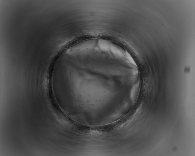 X0000102860592200809021426