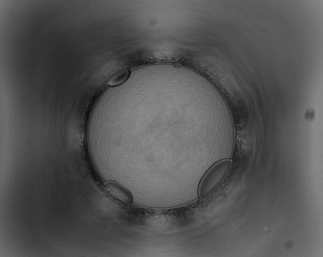 X0000102860593200809021426