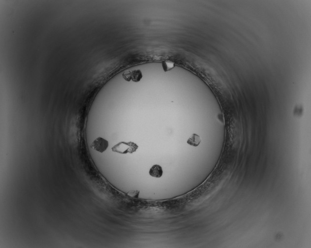 X0000102860594200809021426