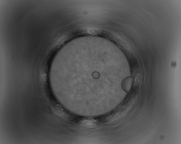 X0000102860595200809021426