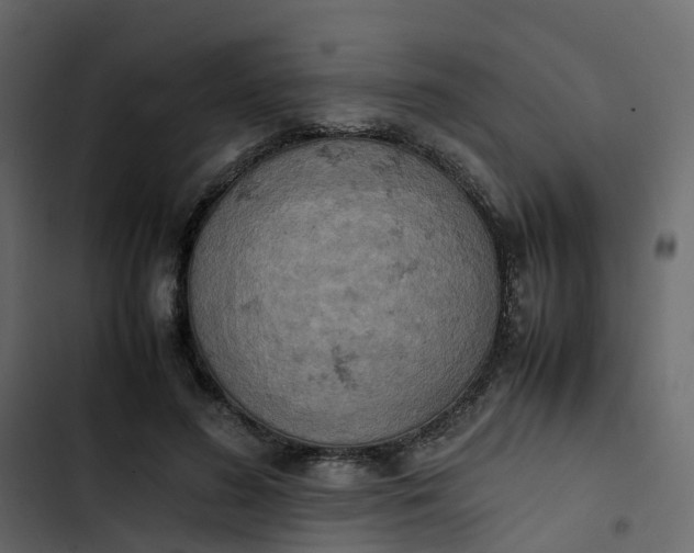 X0000102860596200809021426