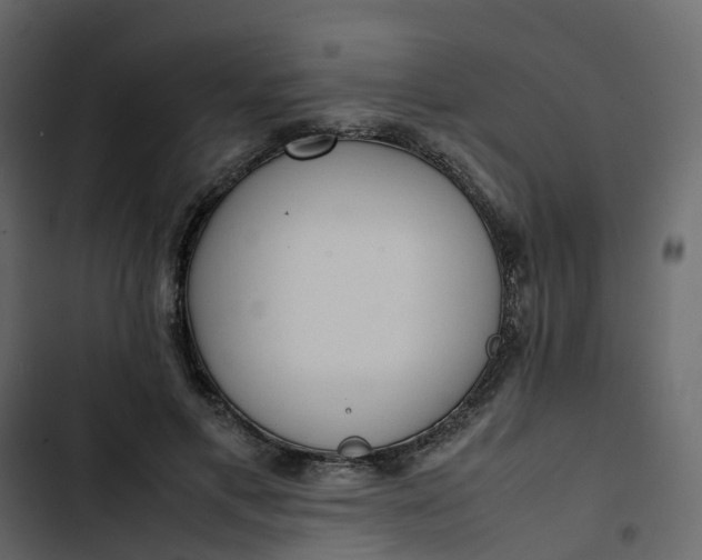 X0000102860597200809021426