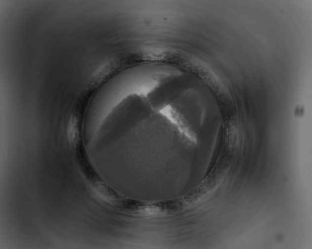 X0000102860598200809021426