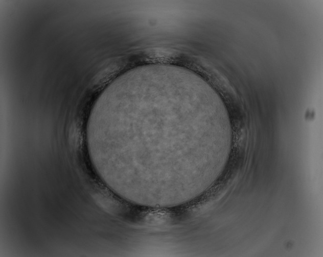 X0000102860599200809021426