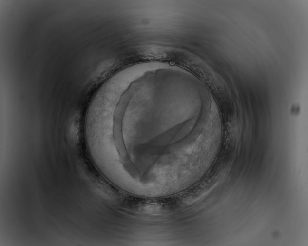 X0000102860600200809021426