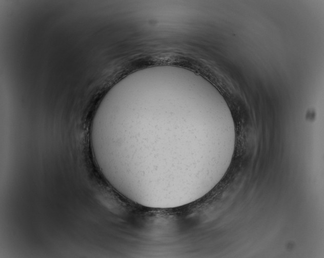 X0000102860601200809021426