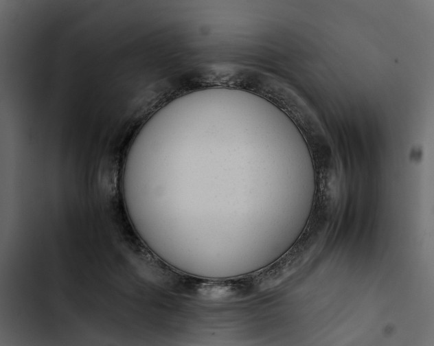 X0000102860602200809021426