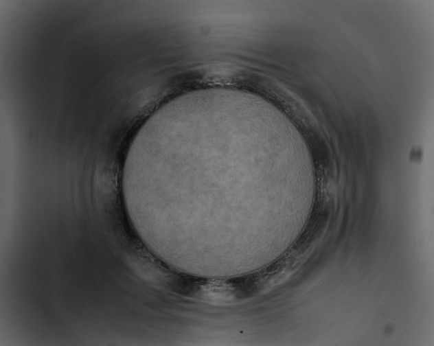 X0000102860603200809021426