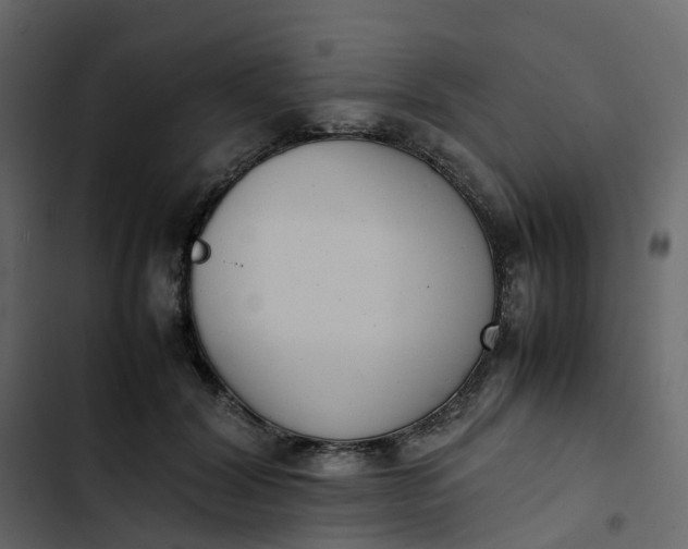 X0000102860604200809021426