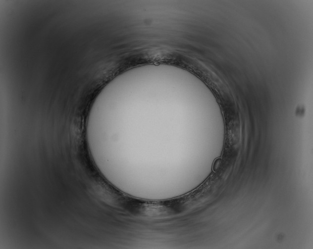 X0000102860605200809021426