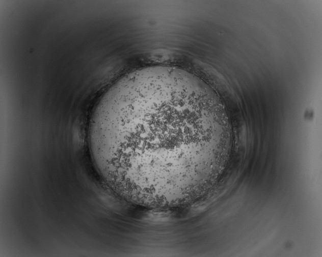 X0000102860606200809021426