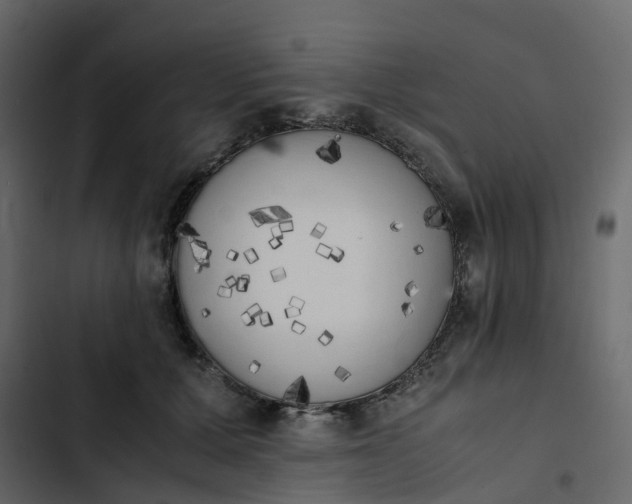 X0000102860607200809021426