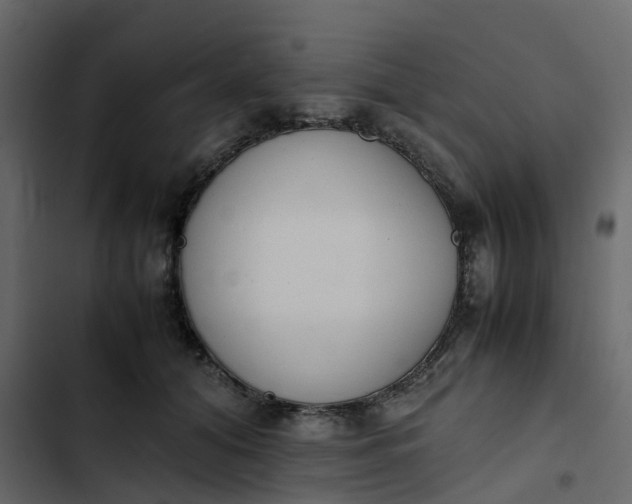 X0000102860608200809021426