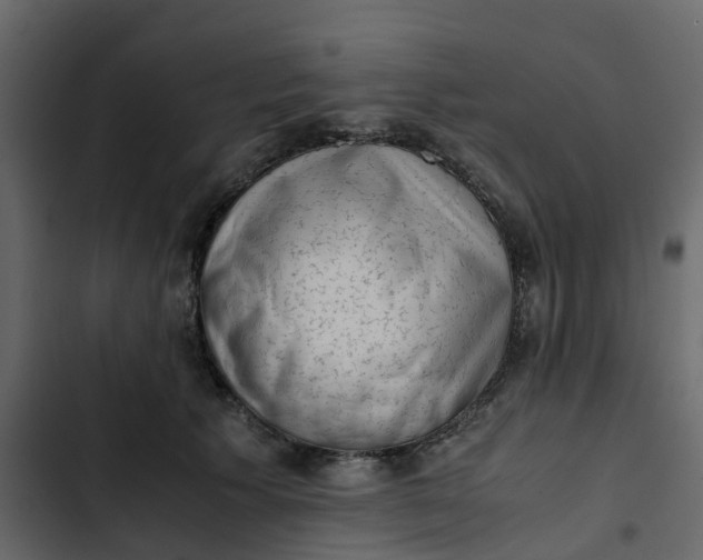 X0000102860609200809021426