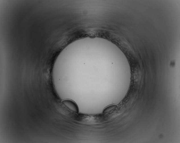 X0000102860611200809021426