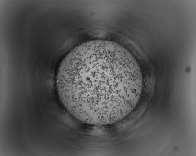 X0000102860612200809021426