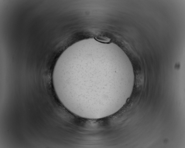 X0000102860613200809021426