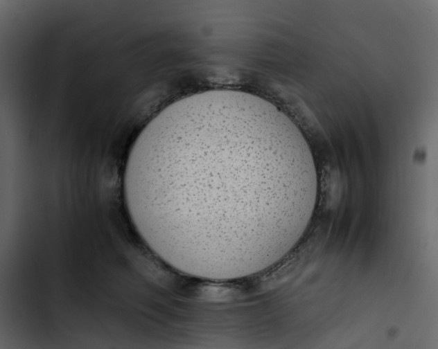 X0000102860614200809021426