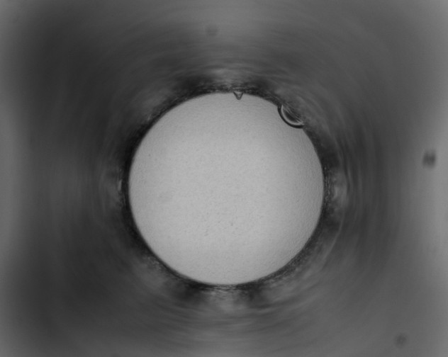 X0000102860615200809021425