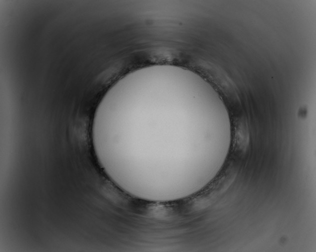 X0000102860616200809021425